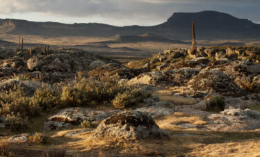 6-Day Bale Mountain Trekking Tour