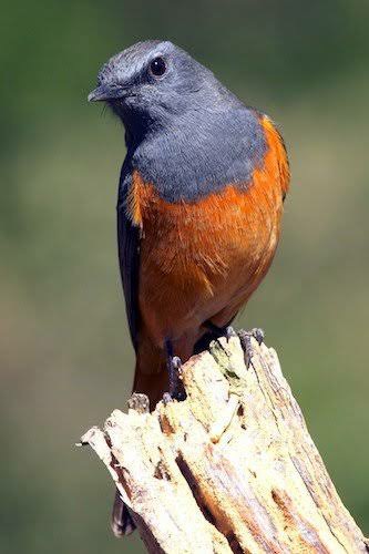 Picsart_25 03 31_23 03 51 473